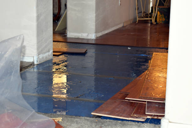 Professional Water Damage Restoration technician working in Bryson, TX
